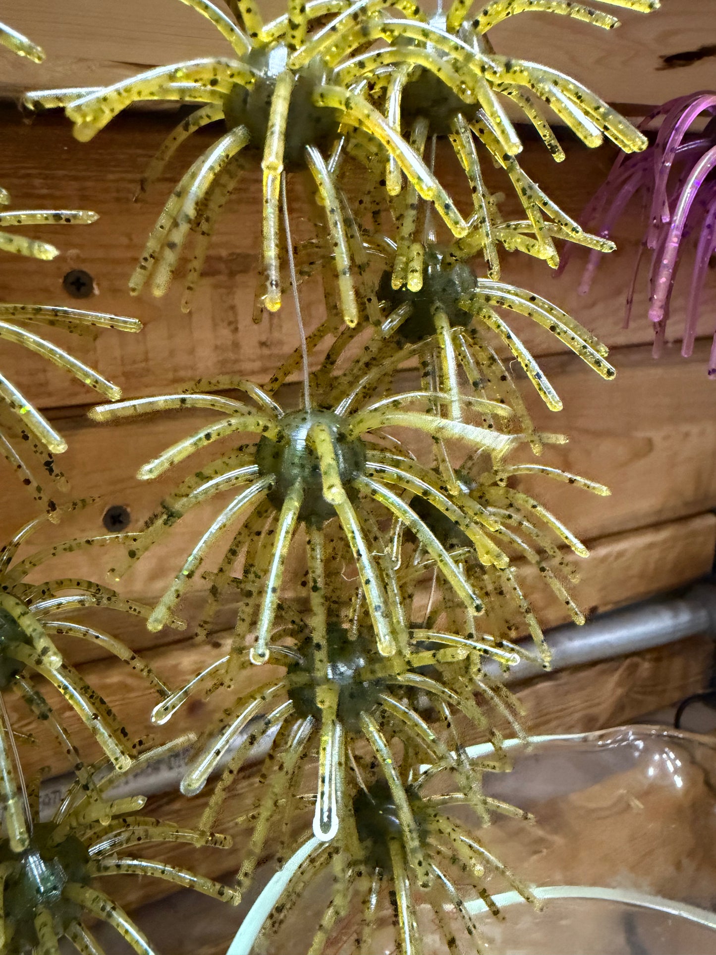 The Medusa 2.5” (4 Pack)